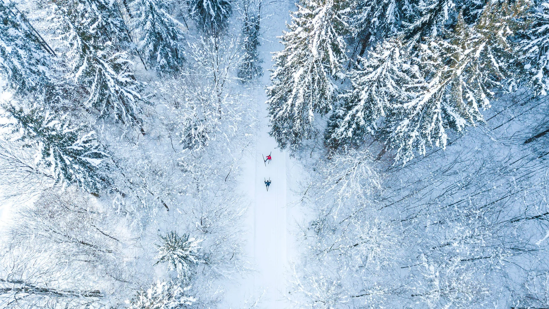 Langlauf & Skitourenhotel © Tourismusverband Kaiserwinkl Zwei Skifahrer fahren durch einen schneebedeckten Wald von oben gesehen