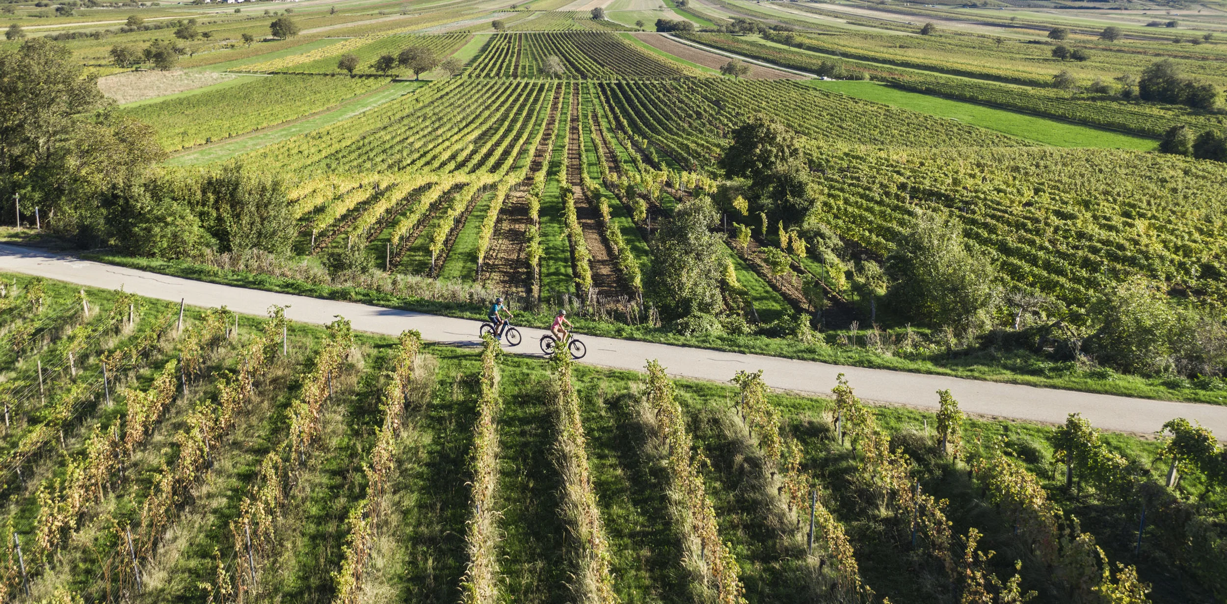 Radhotel © Heiko Mandl Fahrradfahrer auf Weg durch grüne Weinberge unter blauem Himmel