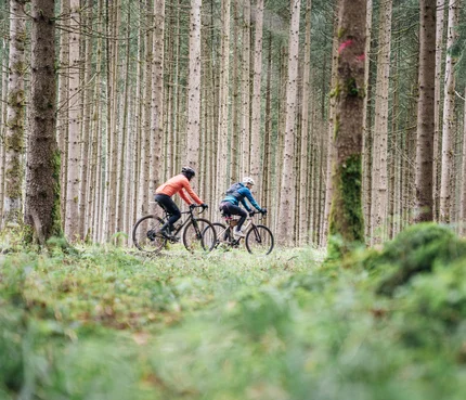 Zwei Radfahrer fahren durch einen dichten Nadelwald