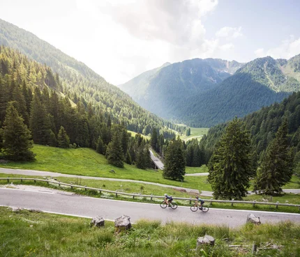 Zwei Radfahrer auf Bergstraße mit Tannenwald und Bergen im Hintergrund