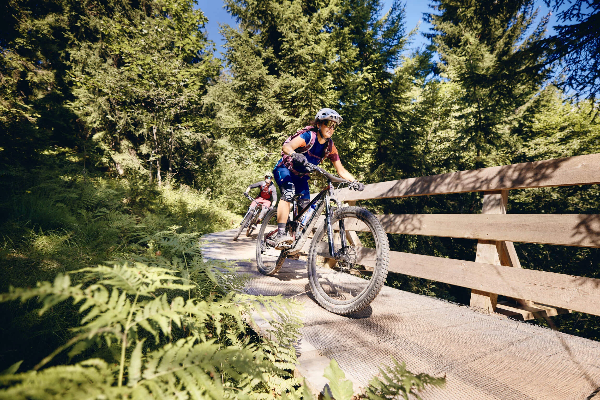Zwei Mountainbiker fahren über eine Brücke im Wald bei sonnigem Wetter