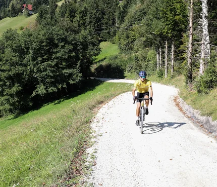 Fahrradfahrer auf Waldweg in hügeliger Landschaft bei Sonnenschein