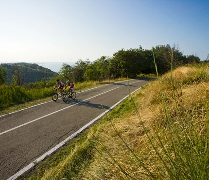 Zwei Radfahrer fahren auf einer Straße durch eine grüne Landschaft bei sonnigem Wetter