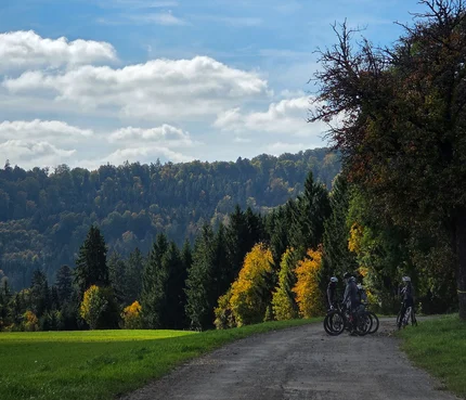 Radfahrer machen Pause auf Waldweg im herbstlichen Landschaftspark