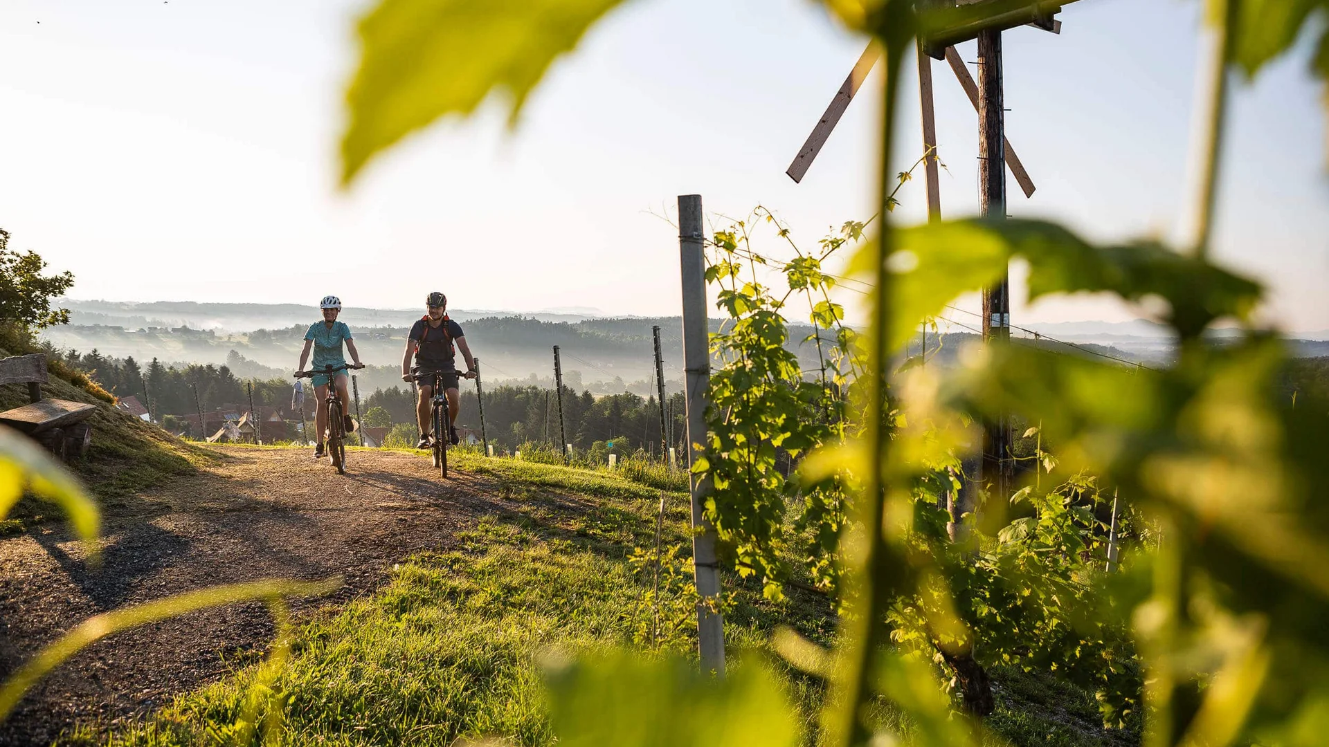 Radhotel © Velontour Zwei Radfahrer fahren auf einem Weg durch Weinberge bei Sonnenaufgang