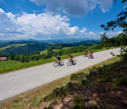Vier Radfahrer fahren auf einer Landstraße in hügeliger Landschaft bei sonnigem Wetter
