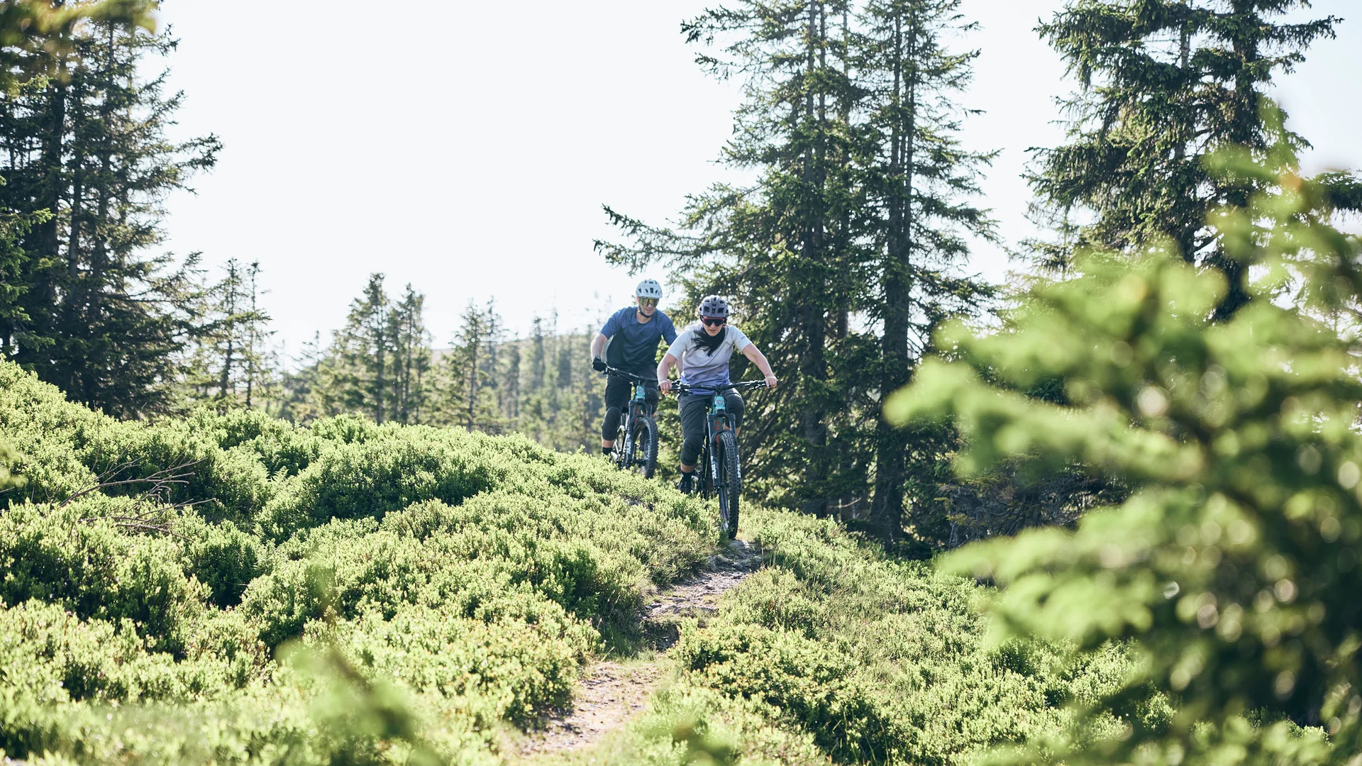 Bikehotel © Tobias Köhler Zwei Radfahrer fahren auf einem Waldweg durch grüne Büsche und Bäume