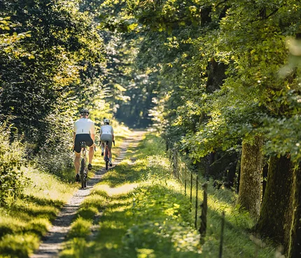 Zwei Radfahrer fahren auf einem schmalen Waldweg bei Sonnenschein