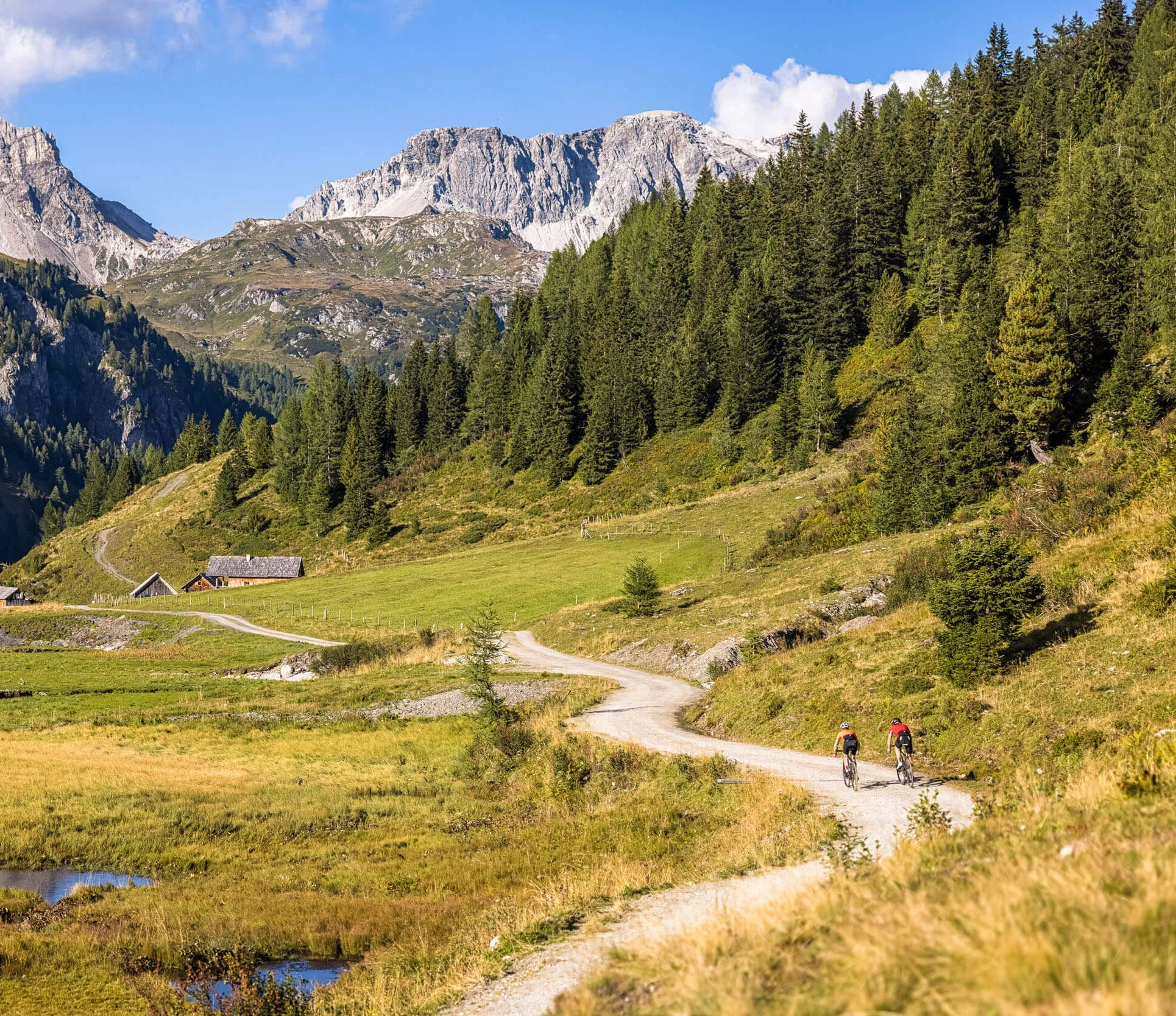 Gravelbike Holidays © Salzburger Land Tourismus Zwei Radfahrer auf Bergweg mit Alpen, Wiesen und Tannen im Hintergrund