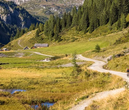 Zwei Radfahrer auf Bergweg mit Alpen, Wiesen und Tannen im Hintergrund